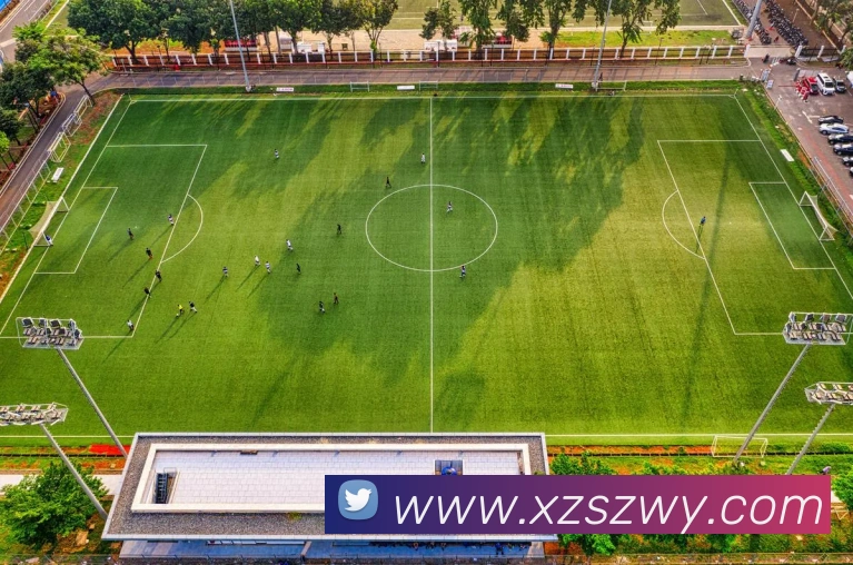 乐虎网站服务体系